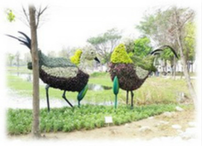 白河蘭花展(綠雕)的第2張圖片